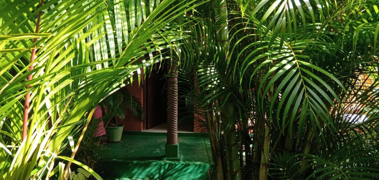 Sigiri Heritage Villa Sigiriya Exterior photo